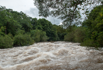 Important Information for Incoming Students Regarding the Flood Activity